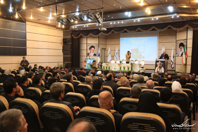 استان گلستان می‌تواند مقصد گردشگری سلامت کشور باشد