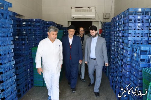 بازدید فرماندار گالیکش از مرغداری و کارخانه جوجه‌کشی ماکیان مهر