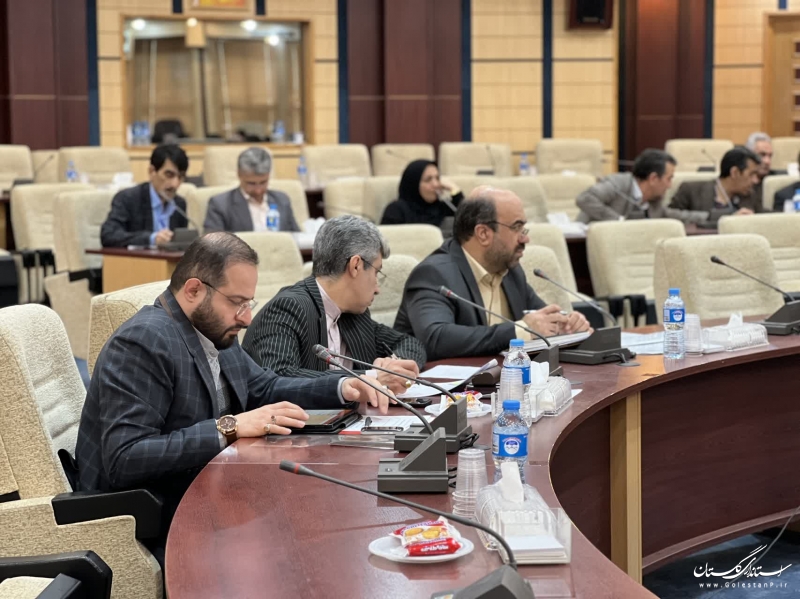 ممنوعیت کشتار دام خارج از کشتارگاه‌ها در گلستان/ آغاز طرح‌ نظارتی نوروز