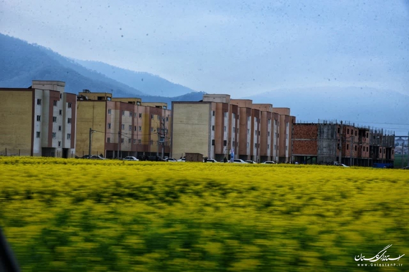 آغاز ساخت 170 واحد مسکونی نهضت ملی مسکن علی‌آبادکتول