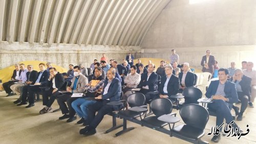 امسال در شهرستان کلاله تولید ۶۰  هزار تن گندم پیش بینی شده است