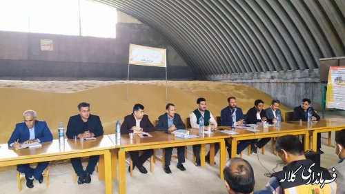 امسال در شهرستان کلاله تولید ۶۰  هزار تن گندم پیش بینی شده است
