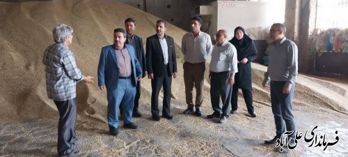 بازدید فرماندار علی آبادکتول از مراکز خرید کلزا و جو در شهرستان 
