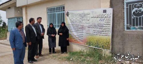 بازدید فرماندار علی آبادکتول از مراکز خرید کلزا و جو در شهرستان 