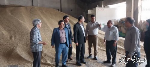 بازدید فرماندار علی آبادکتول از مراکز خرید کلزا و جو در شهرستان 