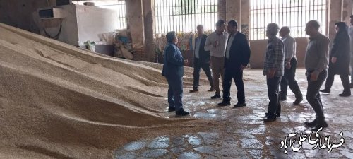 بازدید فرماندار علی آبادکتول از مراکز خرید کلزا و جو در شهرستان 