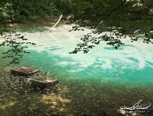 بازدید مدیرکل پدافند غیرعامل از چشمه آق سو