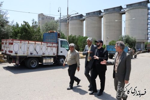 تحویل ۲۸ هزار تن گندم به مراکز دولتی خرید گندم در شهرستان گالیکش