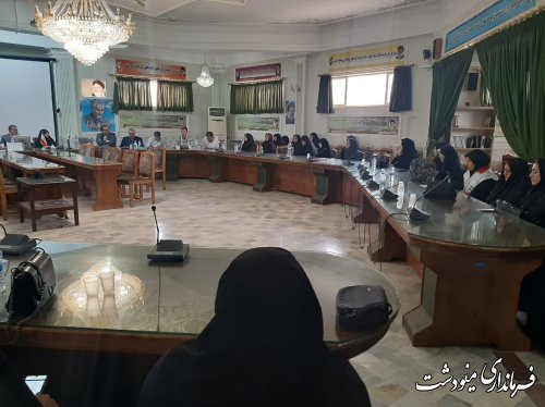 همایش طلایه داران عفاف و حجاب در مینودشت برگزار شد