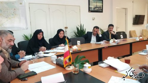 سازمان آرامستانها در گنبدکاووس ایجاد خواهد شد