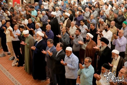 هفته وحدت هفته یکدلی مسلمانان با یکدیگر است