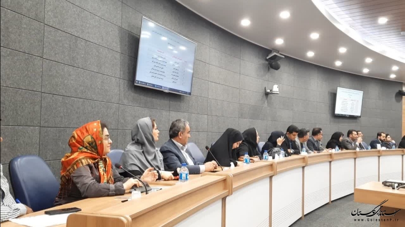 دومین دوره انتخابات نمایندگان تشکل ها در شورای توسعه و حمایت از سمن های استان برگزار شد