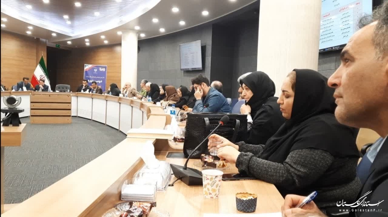 دومین دوره انتخابات نمایندگان تشکل ها در شورای توسعه و حمایت از سمن های استان برگزار شد