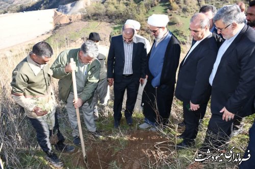 آغاز طرح کاشت یک میلیارد اصله درخت همزمان با سراسر کشور در مینودشت