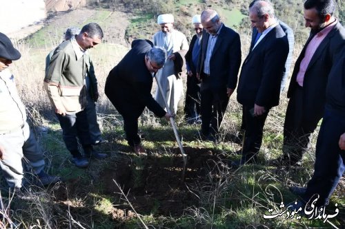آغاز طرح کاشت یک میلیارد اصله درخت همزمان با سراسر کشور در مینودشت