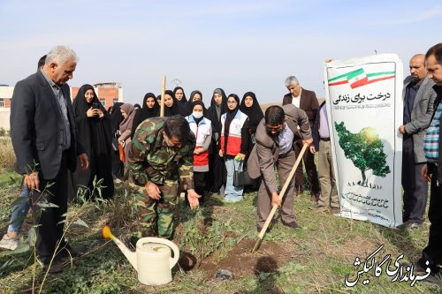 مراسم درختکاری در دانشگاه آزاد گالیکش به‌مناسبت روز دانشجو