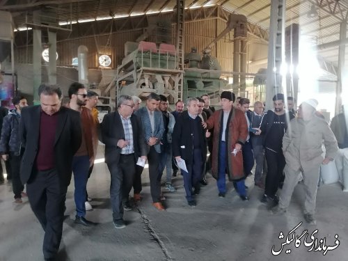بازدید معاون زراعت وزیر جهاد کشاورزی و هیات همراه از شرکت مینوبذر شهرستان گالیکش