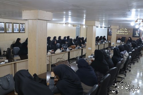 نقش بانوان در اطلاع‌رسانی انتخابات و حضور حداکثری مردم، اثرگذار است