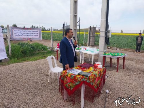 علی آباد کتول ظرفیت های فراوانی در بخش کشت گلخانه ای دارد