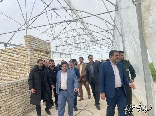 علی آباد کتول ظرفیت های فراوانی در بخش کشت گلخانه ای دارد