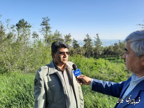 آغاز آمارگیری بهاره قرقاول در حوزه سرزمینی کلاله