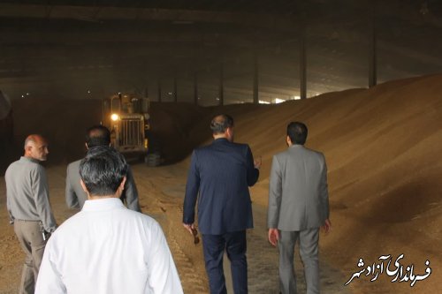 پیش بینی میشود بیش از ۵۰ هزار تن گندم در سطح شهرستان تولید شود