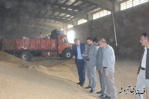 پیش بینی میشود بیش از ۵۰ هزار تن گندم در سطح شهرستان تولید شود