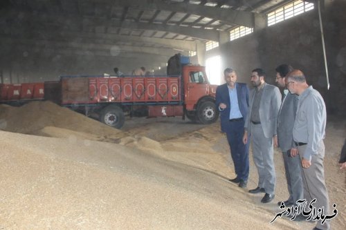 پیش بینی میشود بیش از ۵۰ هزار تن گندم در سطح شهرستان تولید شود