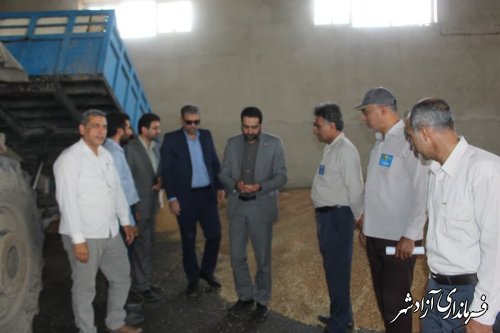پیش بینی میشود بیش از ۵۰ هزار تن گندم در سطح شهرستان تولید شود