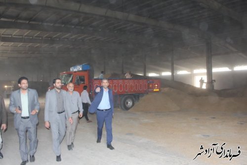 پیش بینی میشود بیش از ۵۰ هزار تن گندم در سطح شهرستان تولید شود
