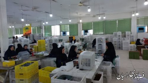 بازدید استاندار گلستان از کارخانه دلند الکتریک