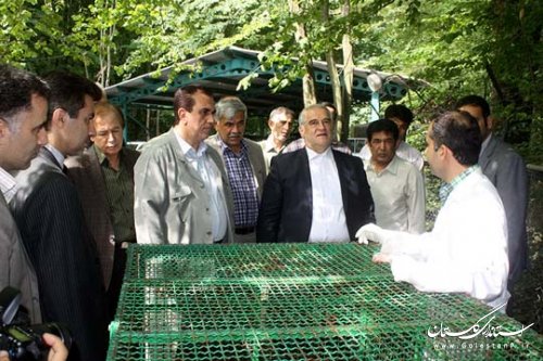 بازدید استاندار گلستان از اداره کل محیط زیست استان و دیدار با کارکنان