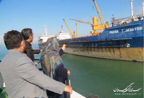 بازدید فرماندار شهرستان ترکمن و مدیر کل بنادر و دریانوردی گلستان از بندر امیرآباد