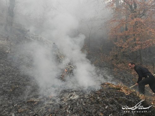 آتش سوزی جنگلهای این شهرستان با تلاش مامورین و نیروهای مردمی خاموش شد
