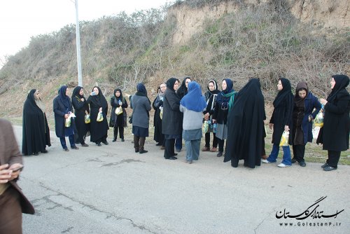 پیاده روی کارکنان استانداری گلستان به مناسبت دهه فجر 