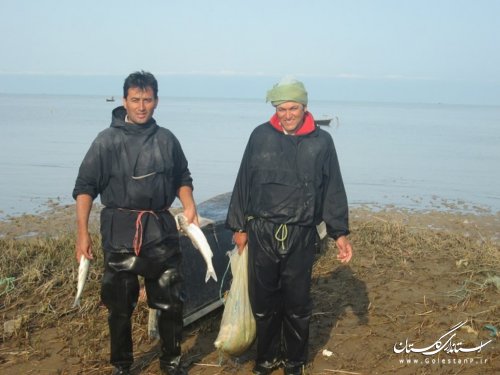 صیادان چارقلی انواع ماهیان خزری را صید می کنند