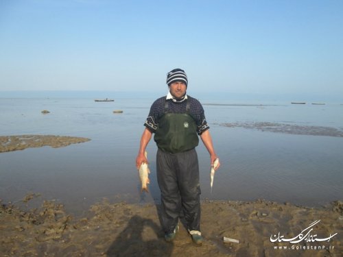 صیادان چارقلی انواع ماهیان خزری را صید می کنند