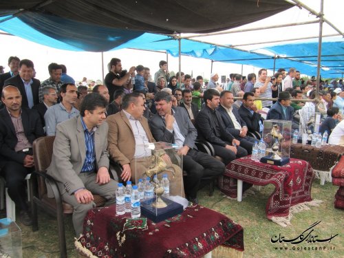 دهمین جشنواره ملی اسب اصیل ترکمن در کلاله برگزار شد