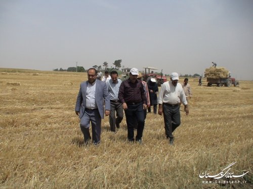 بازدید فرماندار علی آباد کتول از مزارع برداشت گندم و مراکز خرید 