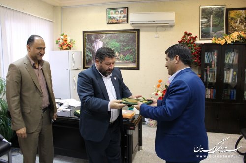 نشست صمیمی فرماندار شهرستان آزادشهر با مدیر عامل شرکت توزیع برق استان
