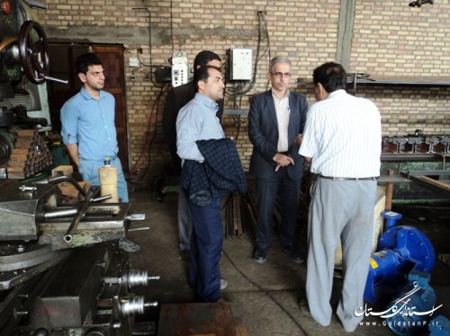 بازدید فرماندار کردکوی از کارخانه رزین چوب