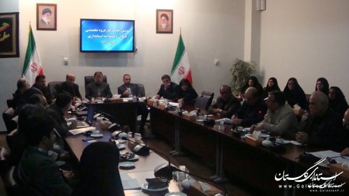 سومين جلسه كارگروه تخصصي بانوان و خانواده استان برگزار شد