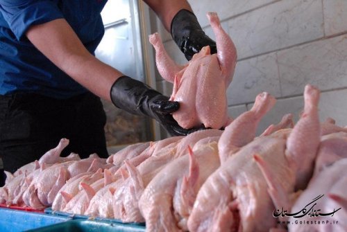 نشست کارگروه منطقه ای مدیریت تولید گوشت مرغ با حضور استانهای شاخص کشور