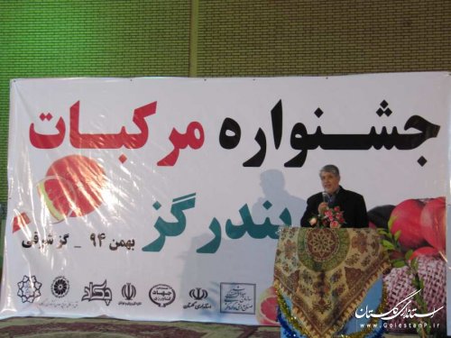 اولین جشنواره استانی مرکبات در بندرگز افتتاح شد