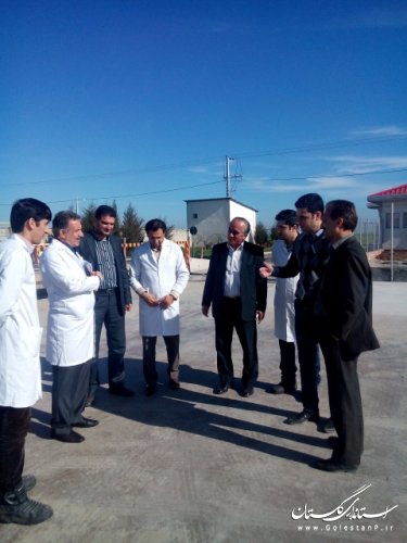 بازدید سرپرست فرمانداری ترکمن از کشتارگاه صنعتی طیور گلستان