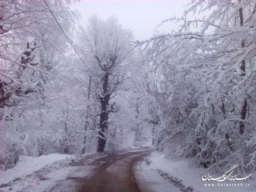 بازدیدفرماندار علی آباد کتول از روند برف روبی راه های کوهستانی