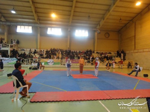 برگزاری مسابقات تکواندو باحضور فرماندار علی آباد کتول