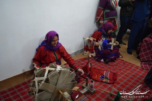 نخستین مرکز تخصصی ابریشم در رامیان افتتاح شد