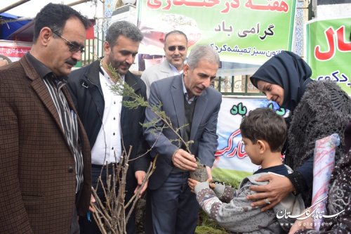 توزیع رایگان 2000 اصله نهال درختان مثمر و غیر مثمر در بین مردم شهرستان کردکوی