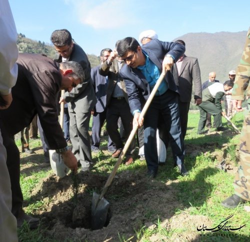کاشت درخت توسط معاون فرماندار و مسئولین ادارات شهرستان در روز درختکاری